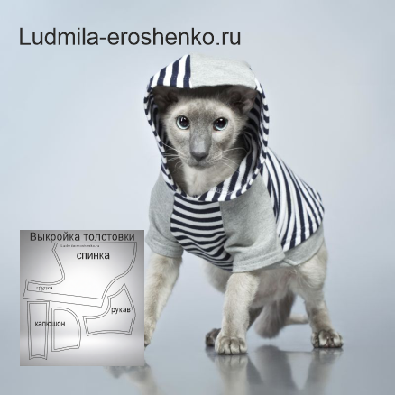 Выкройка толстовки для кота