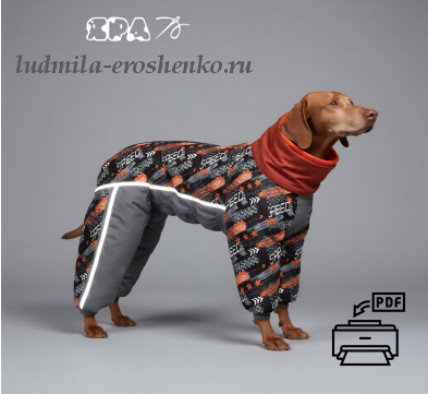 Легавые - Выкройка комбинезона для собаки.