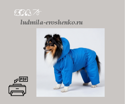 Шелти. Колли.